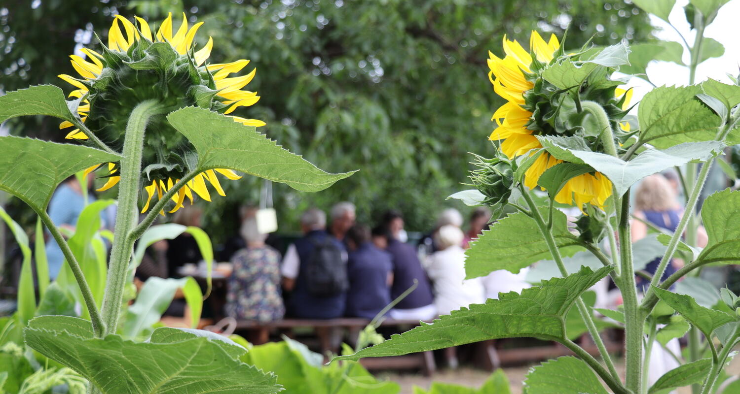 Gartentag Alzheimer Gesellschaft